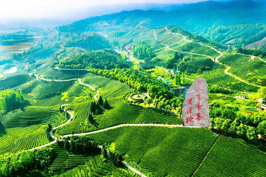 谷城茶叶科技小院（玉皇剑茶业）入选全国科技小院高质量发展典型案例 