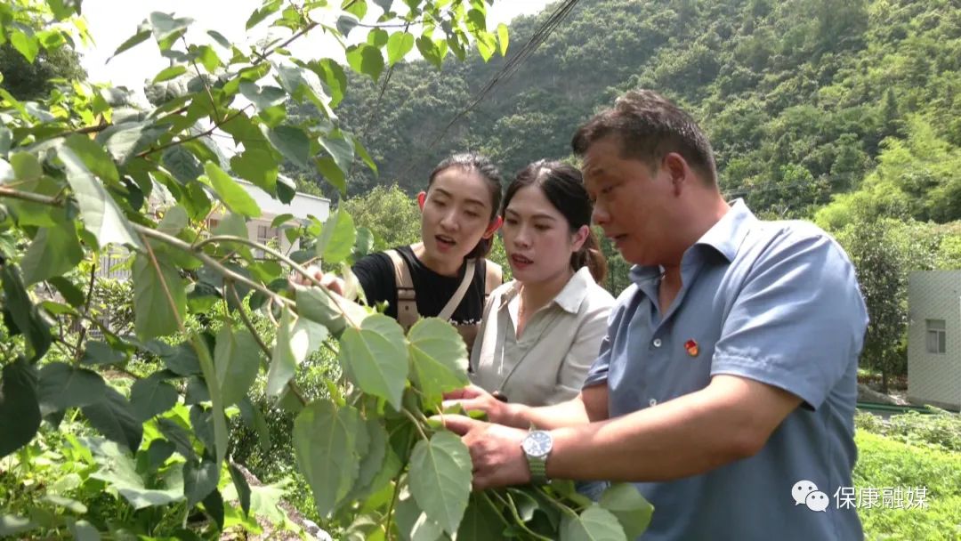 宜兴汤保康图片