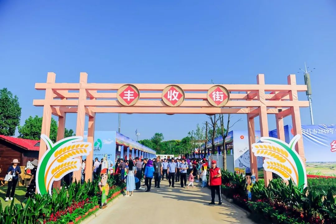 宜昌市2019年农民丰收节在枝江东方年华举行