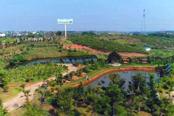 襄樊市宜城市流水镇农商银行 湖北网络广播电视台