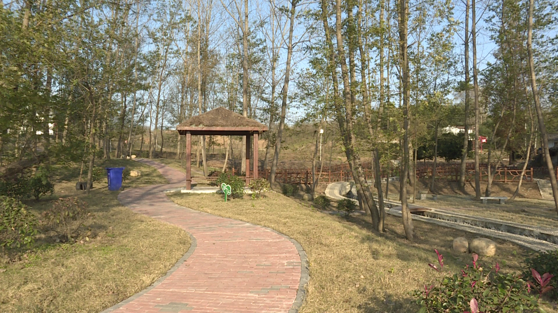 杨家湾村:内外兼修 美丽乡村精彩蝶变