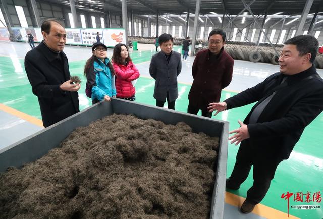 行进荆楚·见证变化——淡中有味清中贵 水乡花都老河口