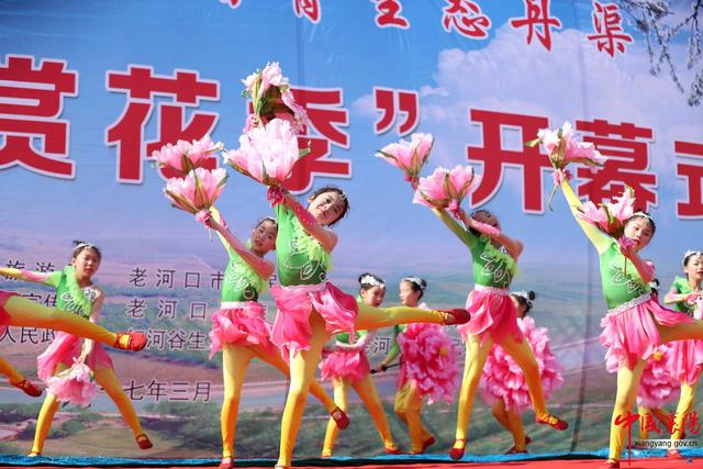 行进荆楚·见证变化——淡中有味清中贵 水乡花都老河口