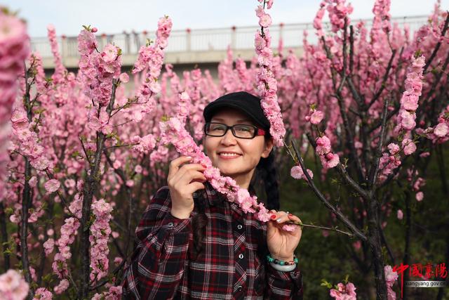 行进荆楚·见证变化——淡中有味清中贵 水乡花都老河口