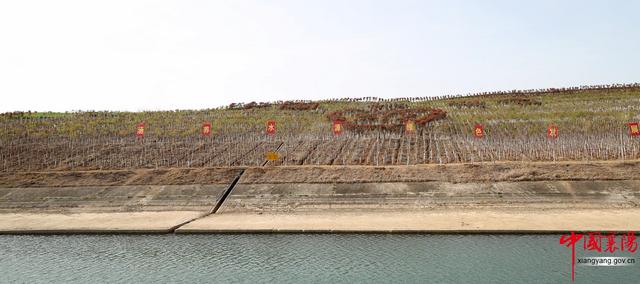 行进荆楚·见证变化——淡中有味清中贵 水乡花都老河口