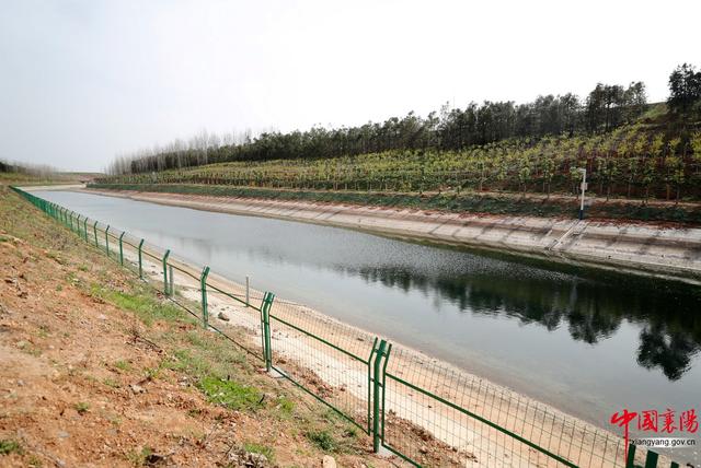 行进荆楚·见证变化——淡中有味清中贵 水乡花都老河口