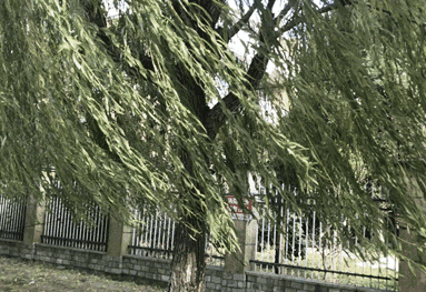 383_263gif 动态图 动图