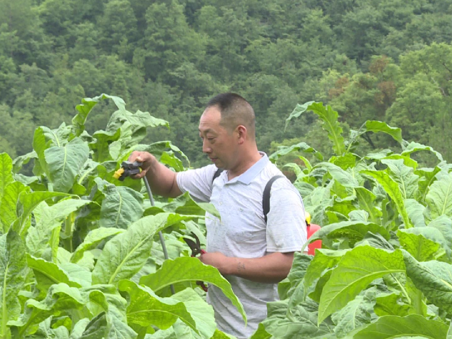 歇马镇现任镇长图片