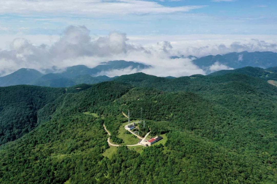 保康聚龙山海拔图片