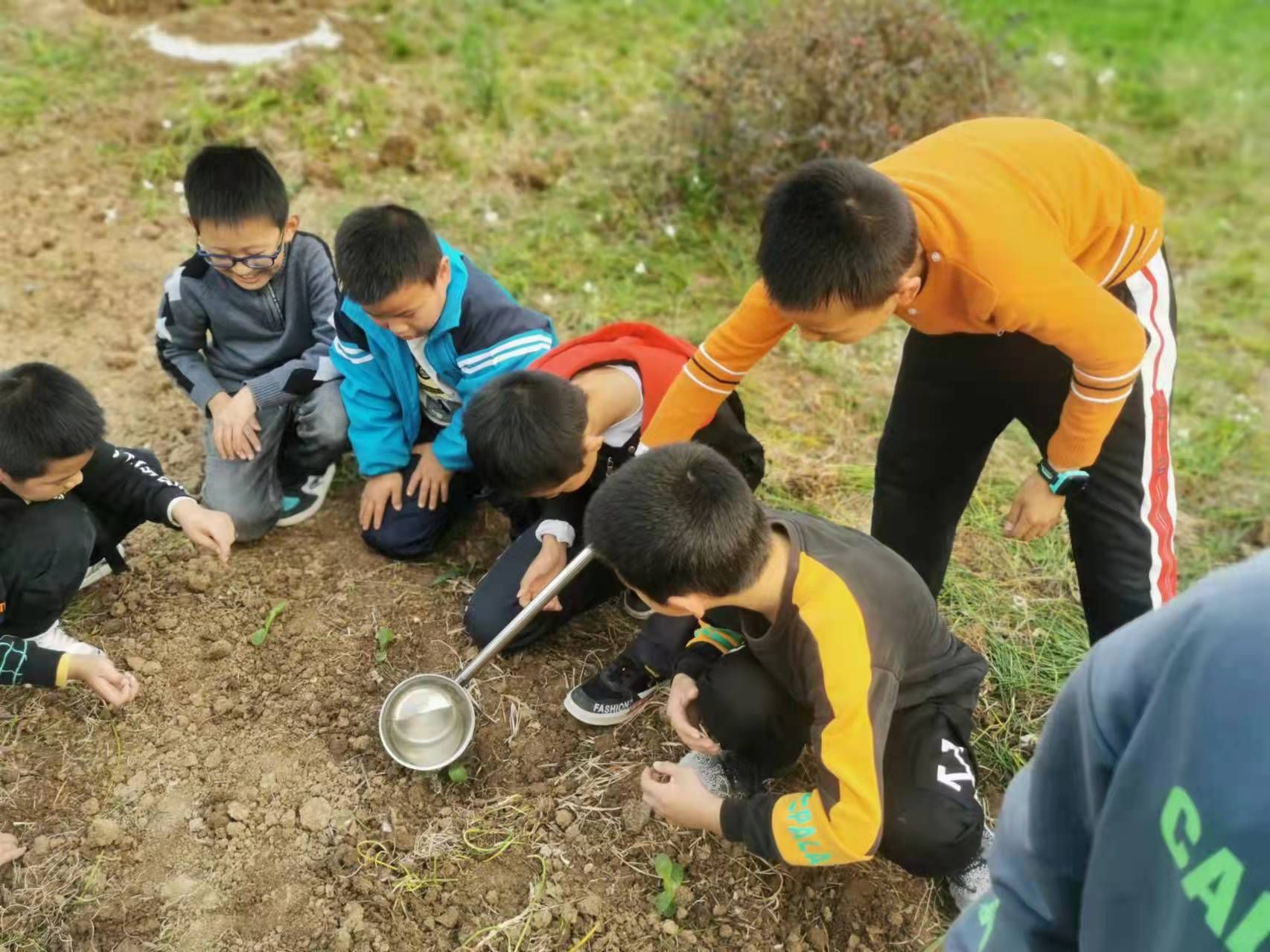 襄阳官庄小学图片