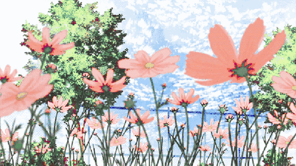 600_337gif 动态图 动图