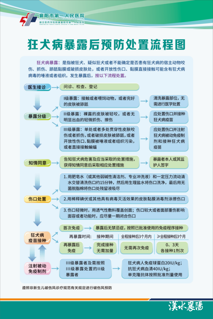 动物门诊用什么x光机七旬老人被狗重度咬伤，24小时动物致伤门诊守护市民安全_https://www.jmylbn.com_新闻资讯_第5张