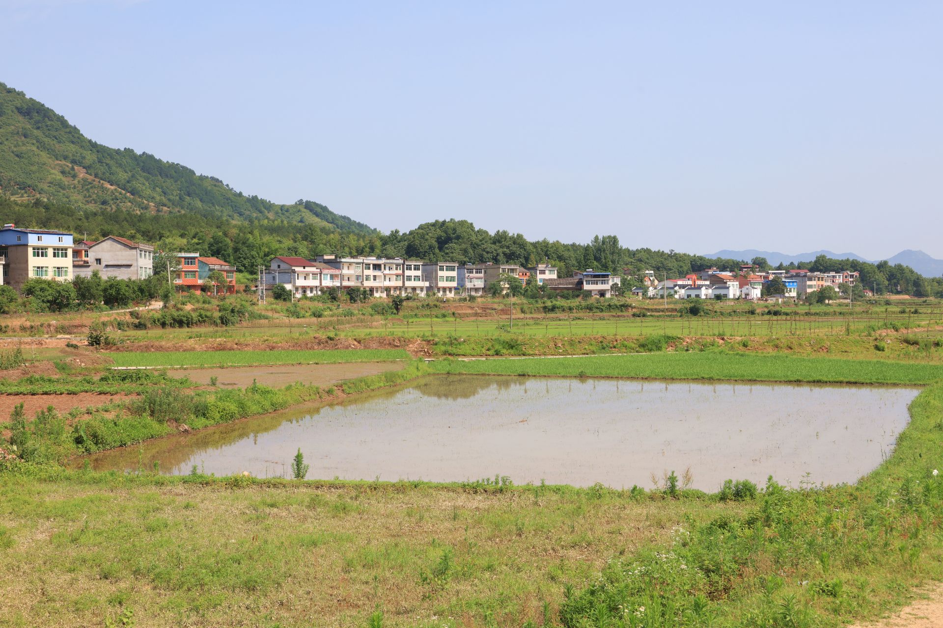 壮丽70年 奋斗新时代——深度贫困村调研行青石镇许冲村蹲点日记