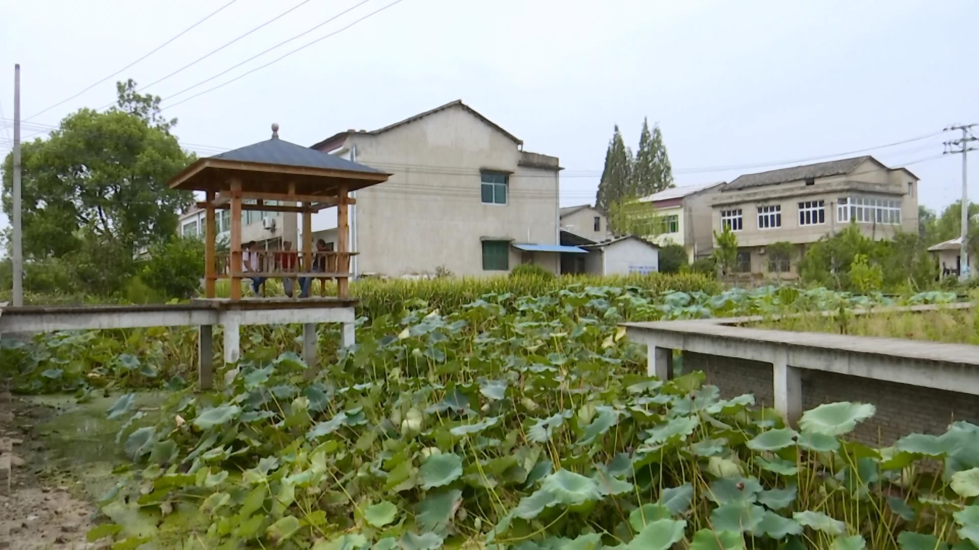 赤东镇北风头村:乡村记忆馆见证农村沧桑巨变