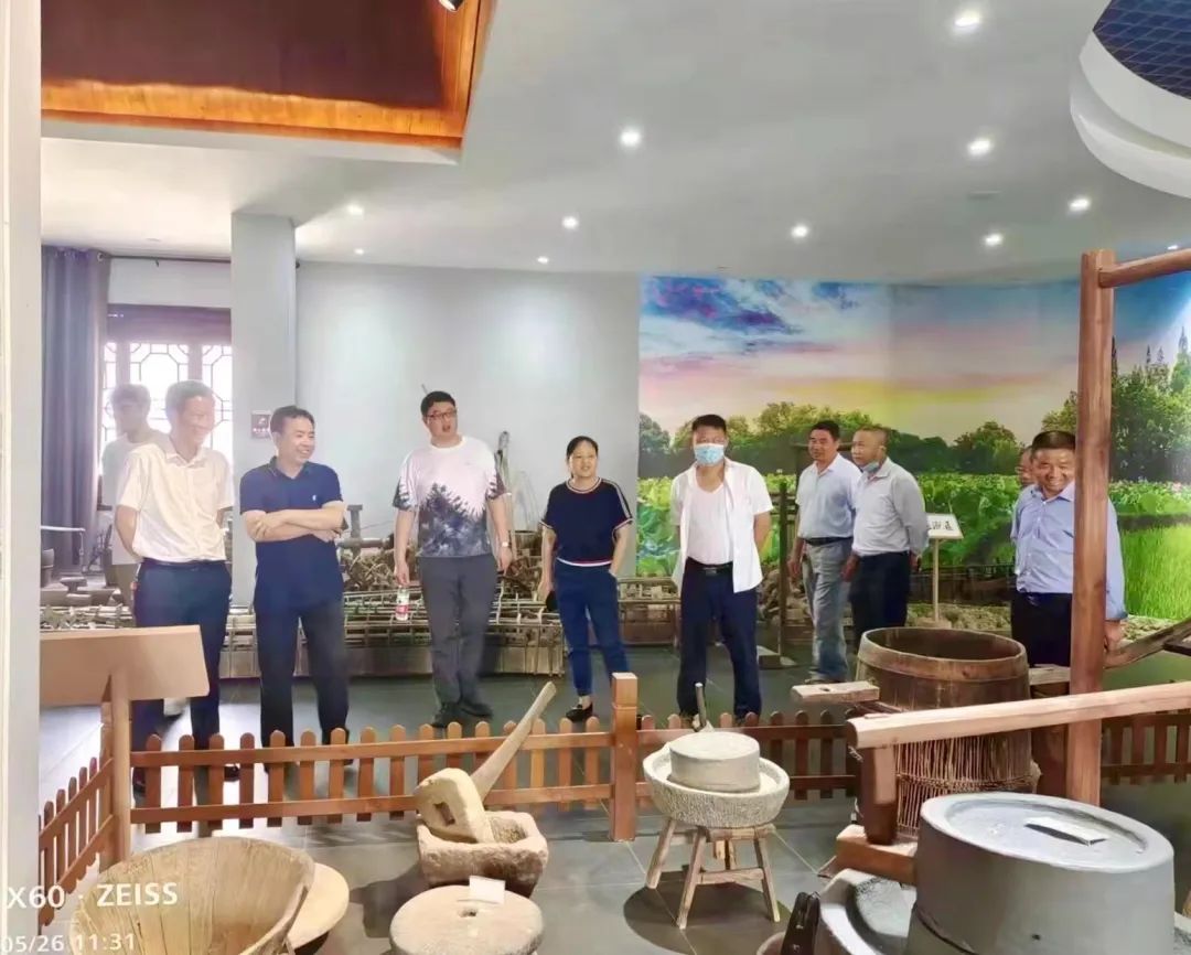 农村土地股份合作社:乡村振兴的新引擎