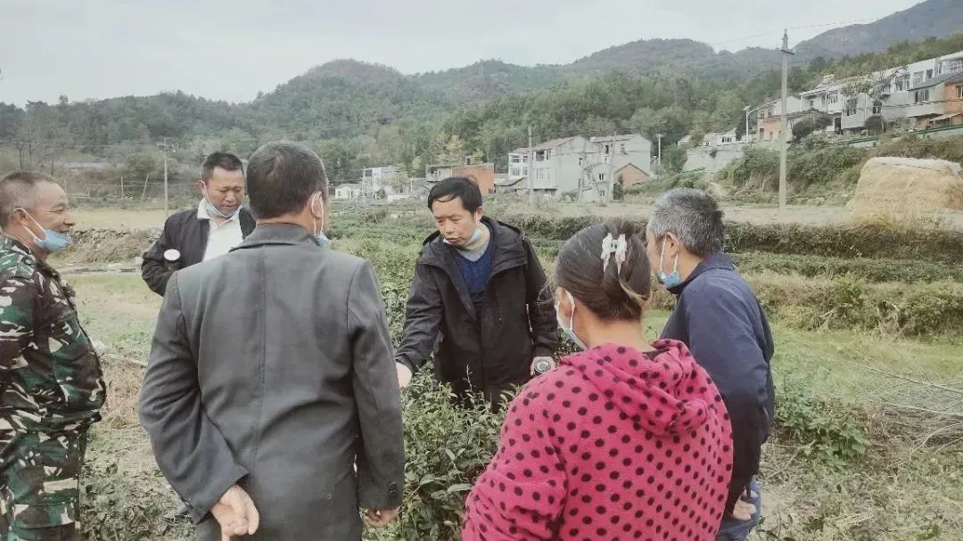2.jpg 图片