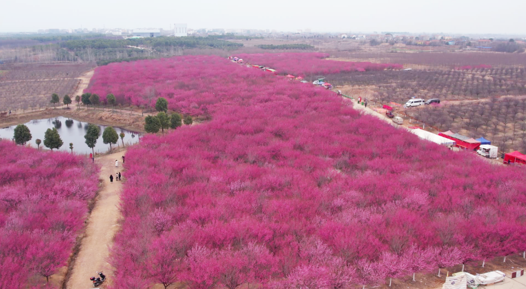 微信截图_20230223195729_副本.png 图片