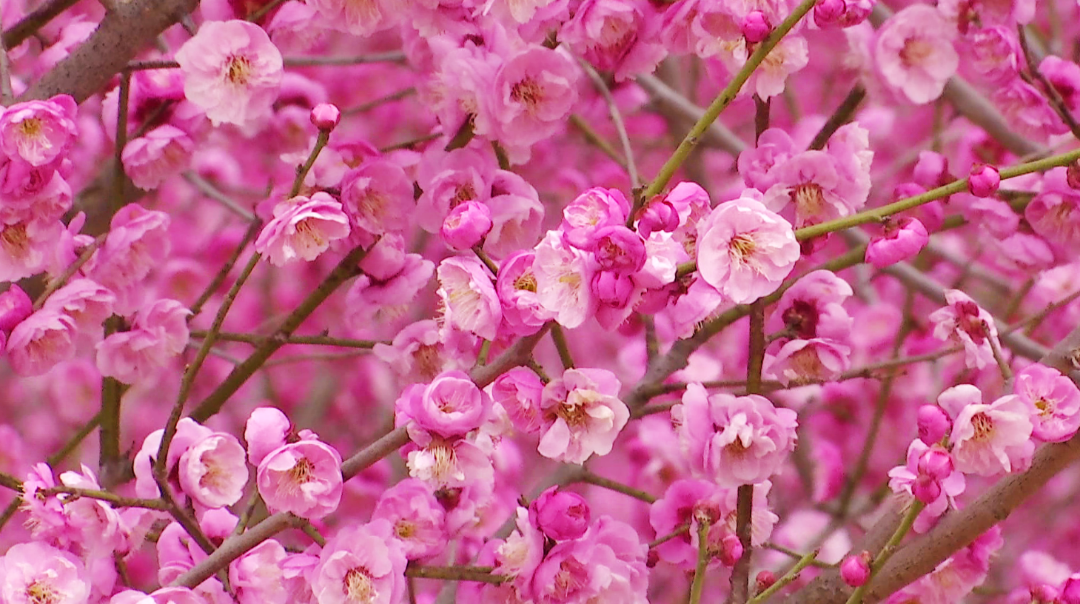 微信截图_20230223195506_副本.png 图片