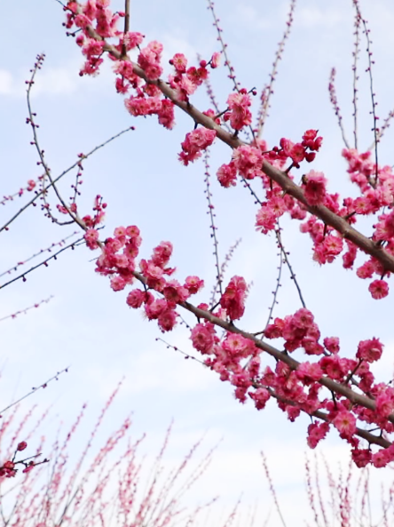 微信截图_20230223195654_副本.png 图片