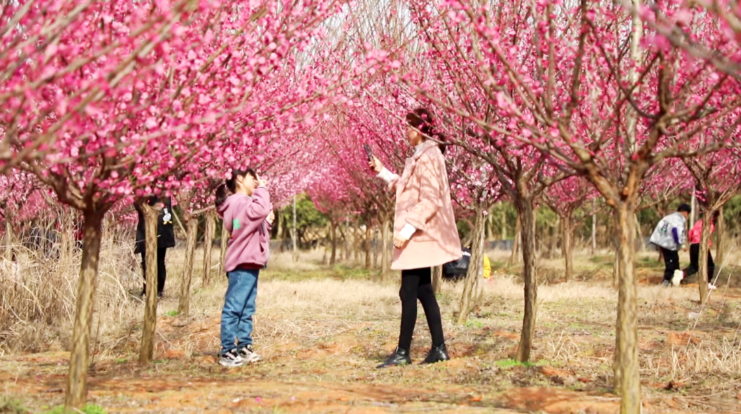 微信截图_20230223195140_副本.png 图片