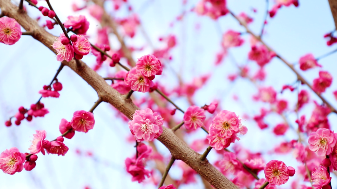 微信截图_20230223195603_副本.png 图片