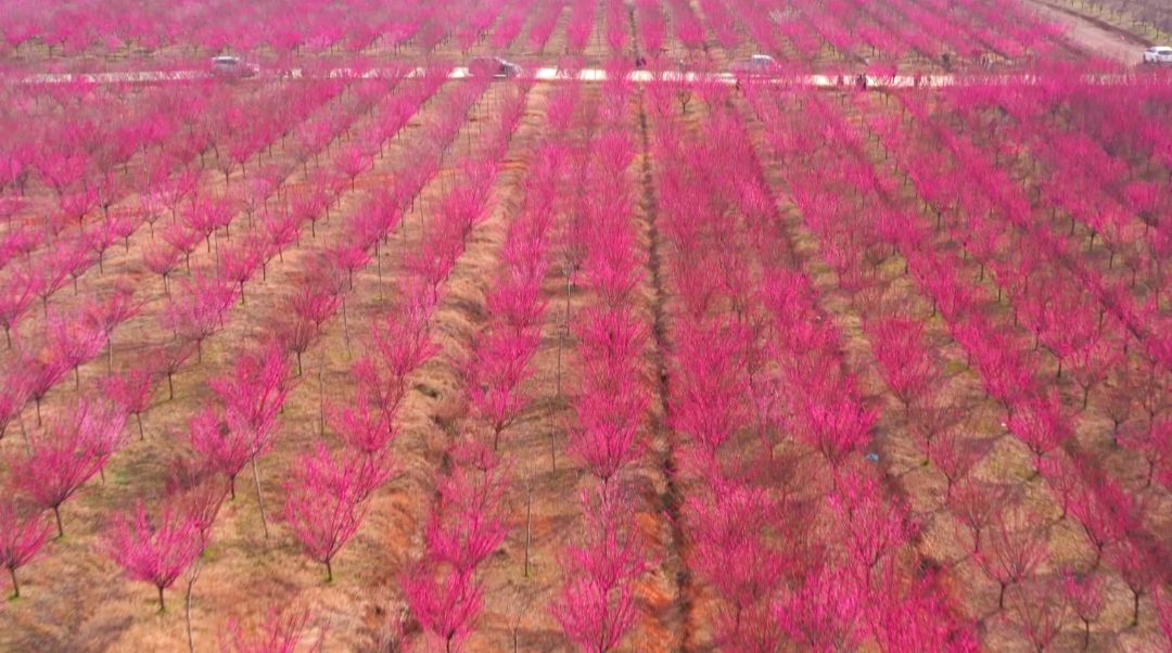 微信截图_20230223195427_副本.png 图片