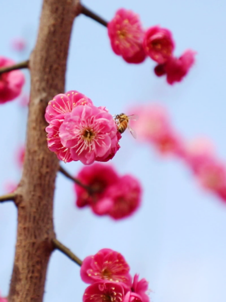 微信截图_20230223195704_副本.png 图片
