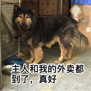 本文系观察者网独家稿件，文章内容纯属作者个人观点，不代表平台观点，未经授权，不得转载，否则将追究法律责任。关注观察者网微信