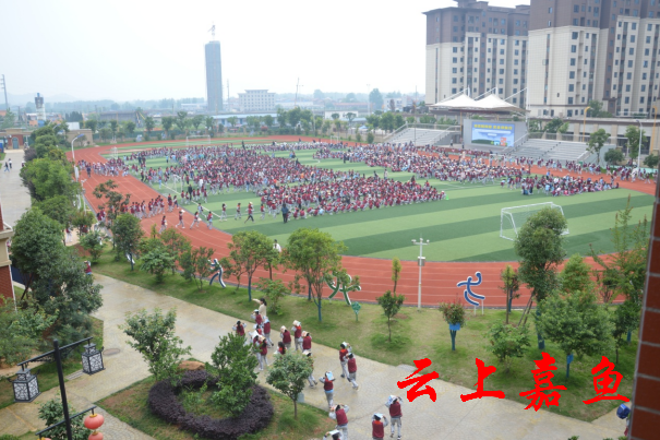 嘉鱼县实验小学图片