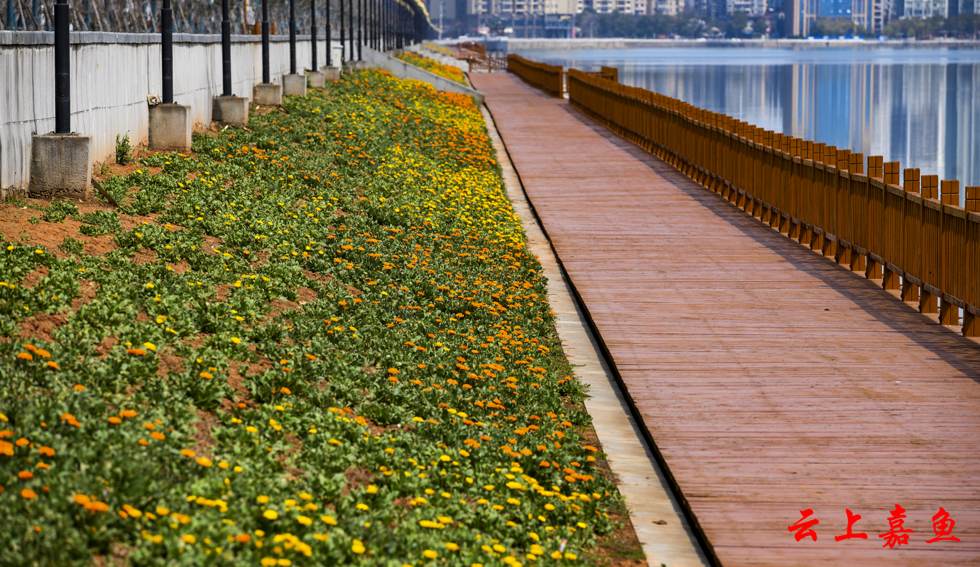 三月嘉鱼人间芳菲春池嫣韵