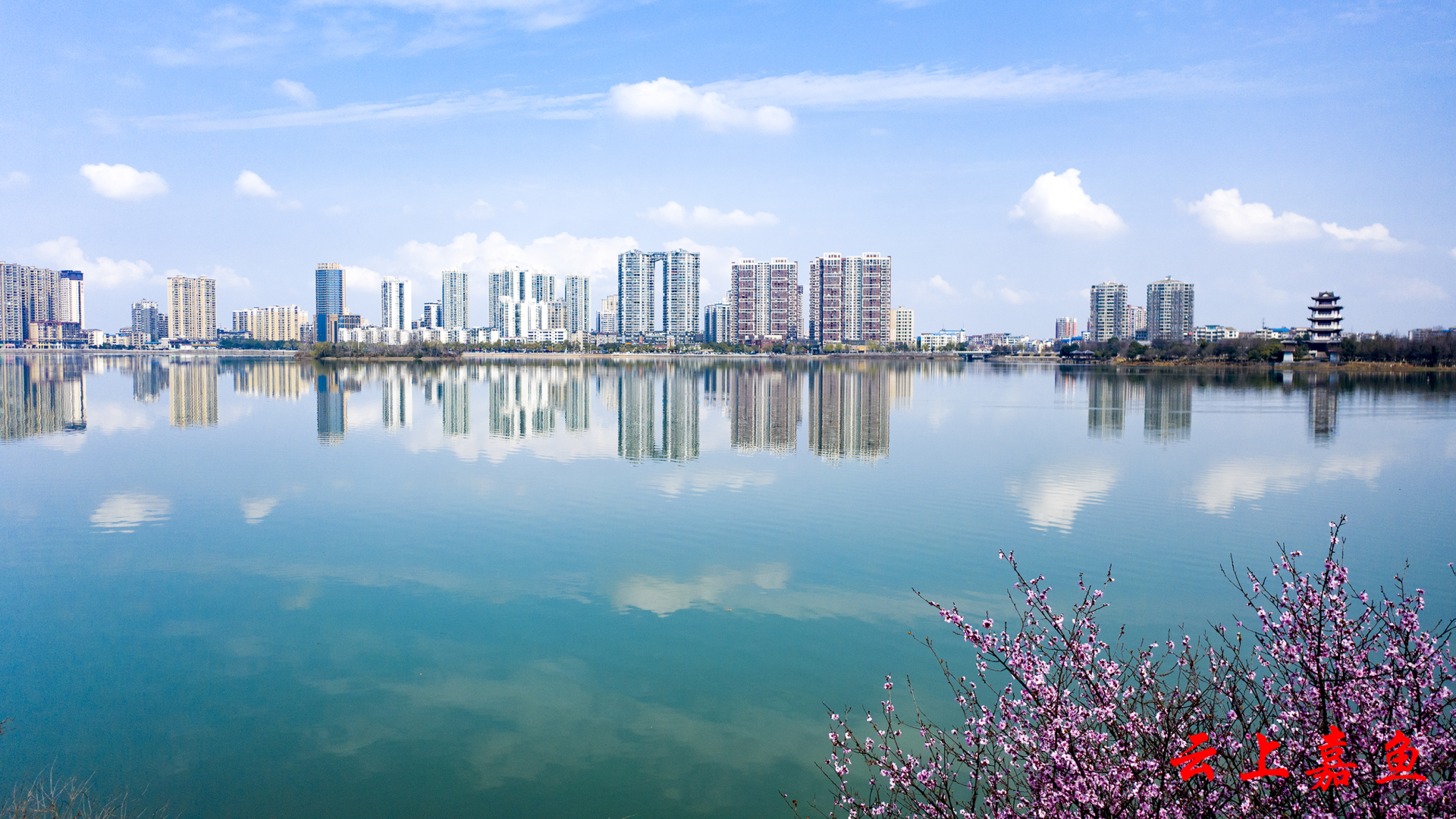 三月嘉鱼人间芳菲春池嫣韵
