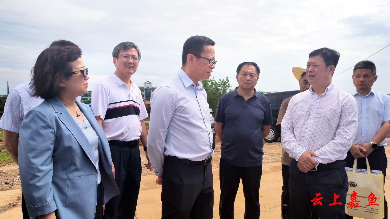 廖志伟来我县调研指导防洪避险工作
