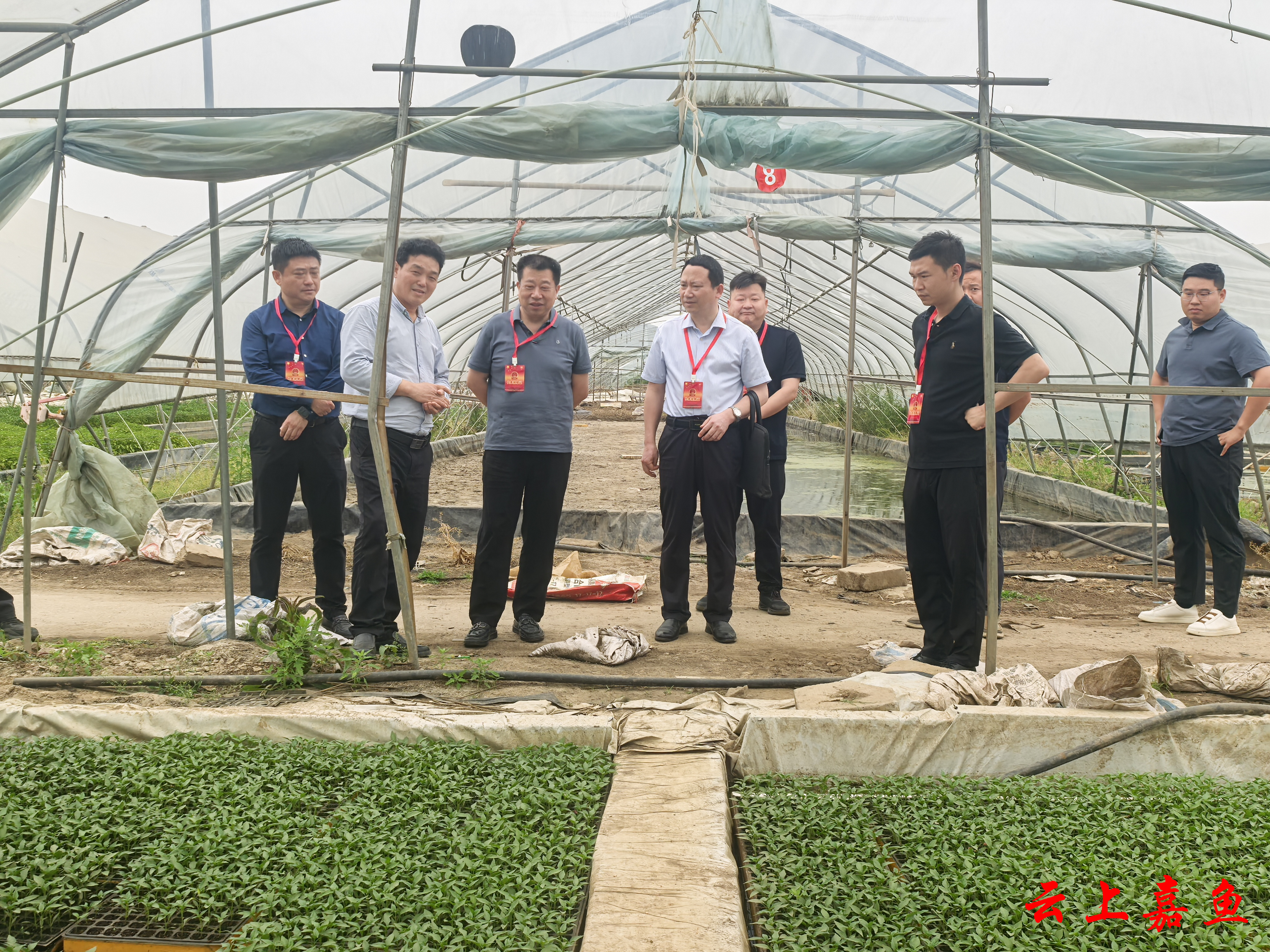 “代表智库”链动三产革新 ——看嘉鱼人大代表如何用履职密码撬动县域产业倍增