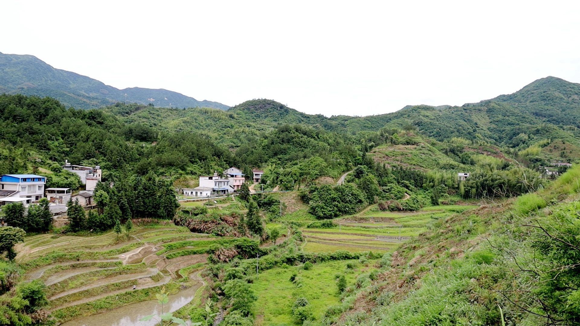 五里镇相师村:村容村貌大改变   乡村振兴新未来