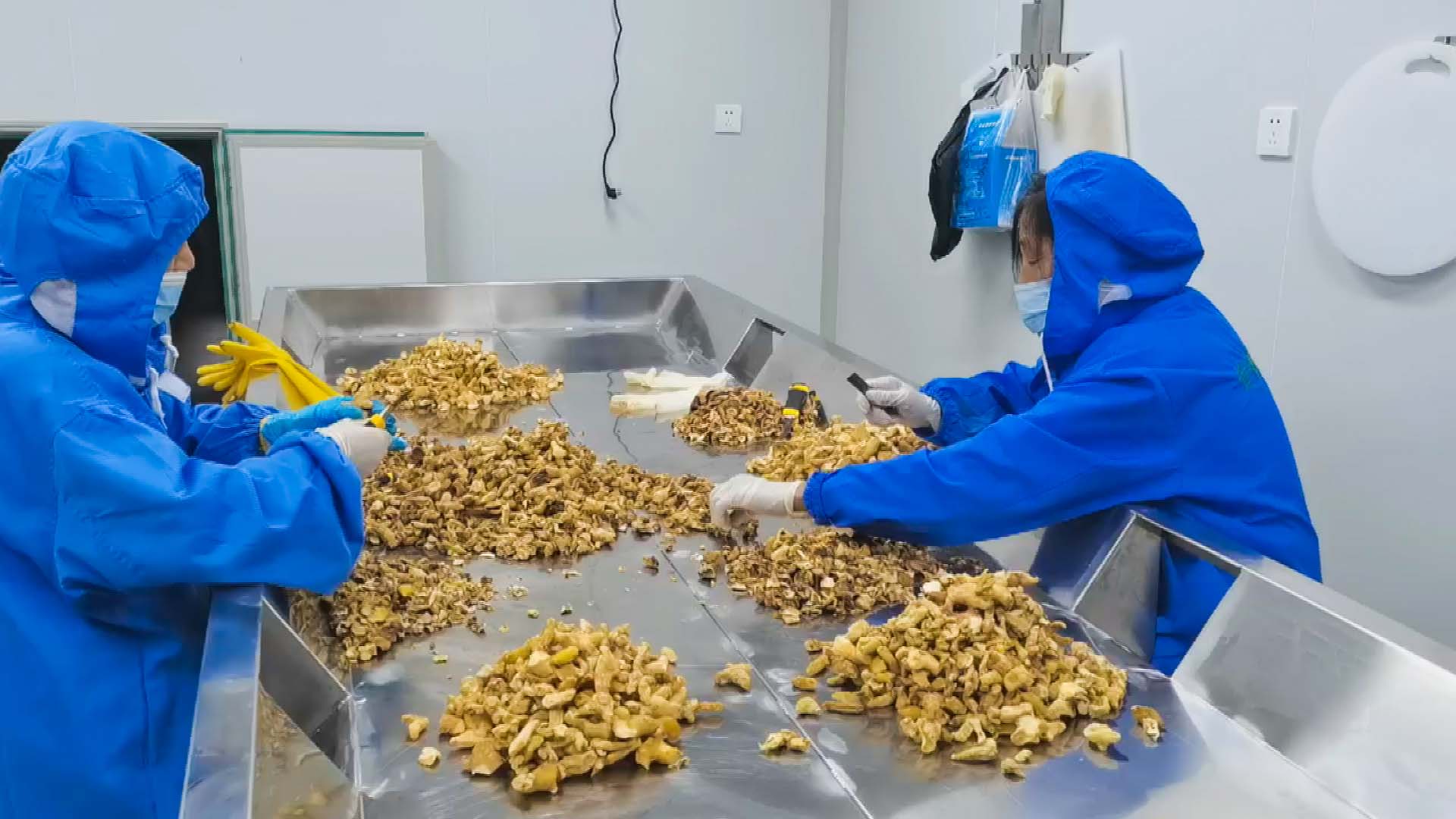 致富经种植亩收入过亿(致富经种植养殖全部视频)