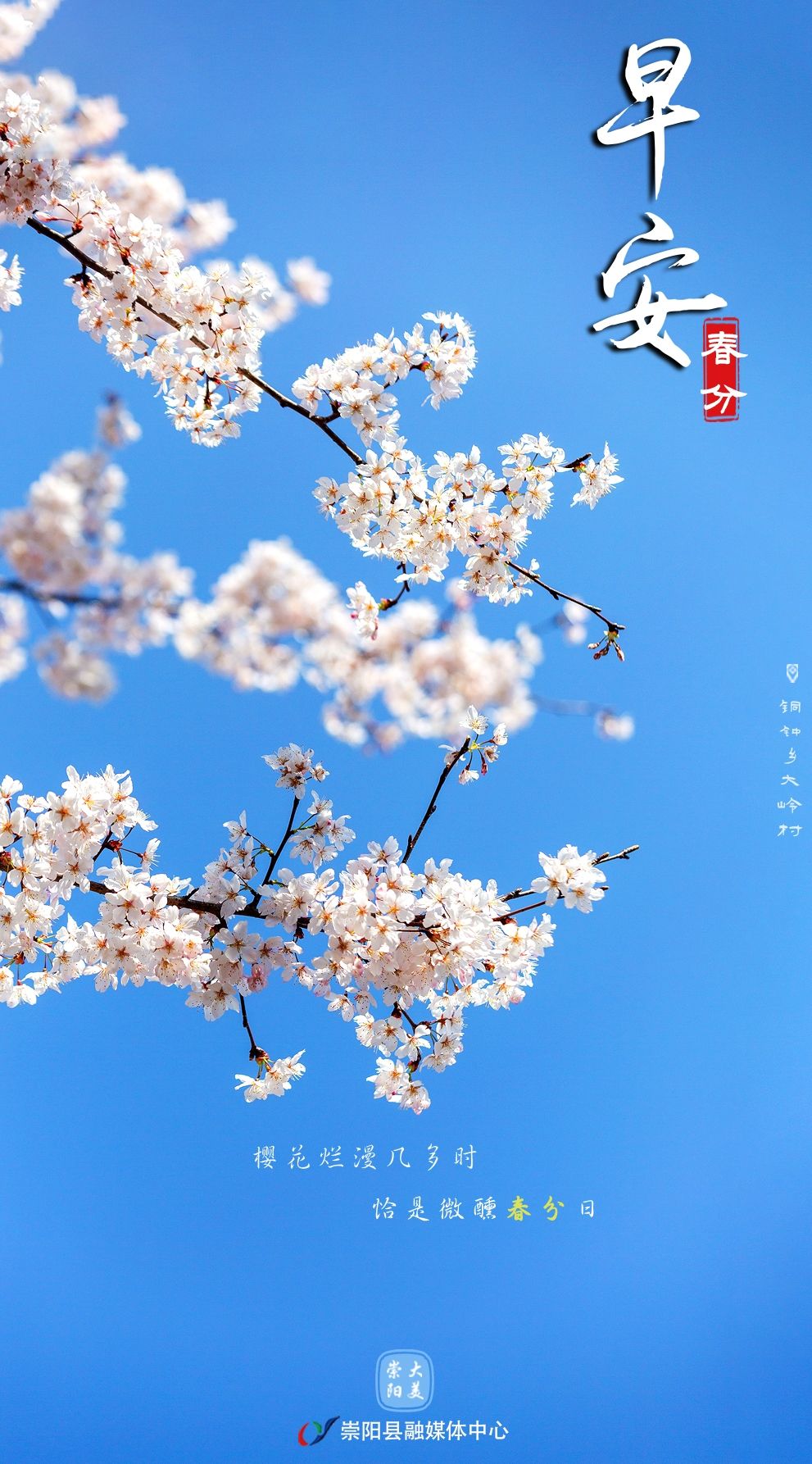 早安·大美崇阳——樱花烂漫几多时，恰是微醺春分日