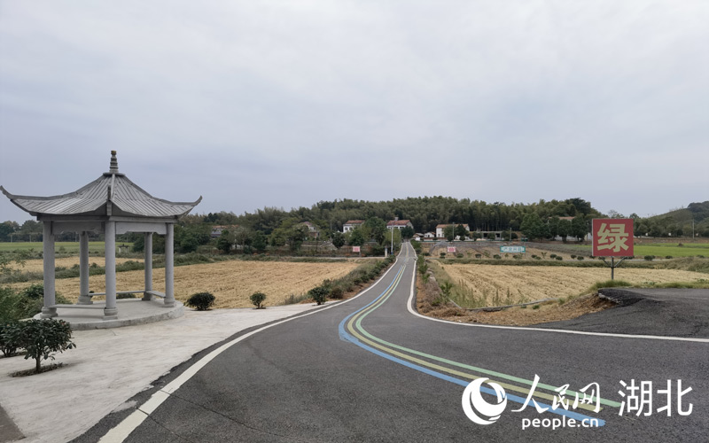 咸安区汀泗桥镇黄荆塘村八组，整洁干净的新农村。周雯摄