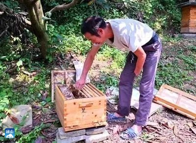 正在上传...