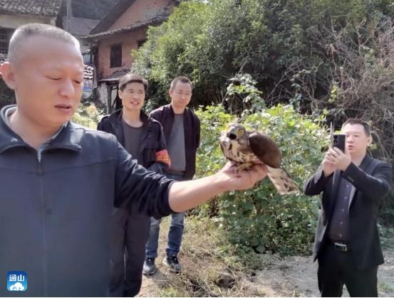 正在上传...