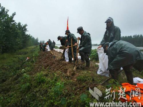 17时左右，彭家咀堤段湖水极速倒灌，开口逐渐扩大，达到近120多米，对面的小池塘很快就被流入的湖水灌满，附近的几处民房和一个养鸭厂受到严重威胁。民兵应急分队迅速堵拢开口，筑高河堤，减缓湖水倒灌速度，并疏散转移周边群众。