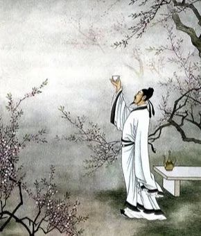 300001378954132937491869288_950.jpg 图片