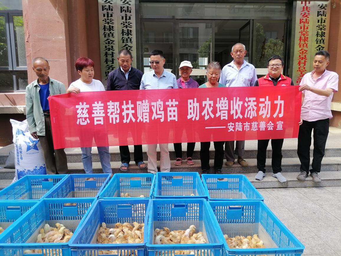 微信图片_20250509160840