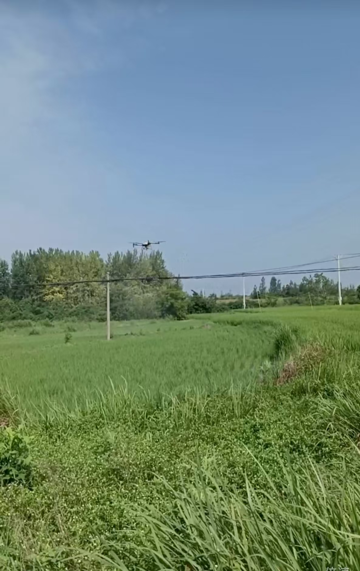 微信图片_20250714152954