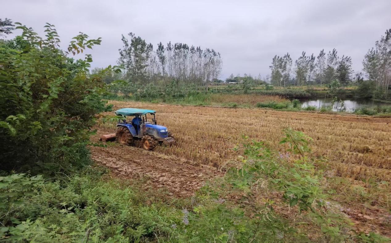 607c7f56c4e8a293ee0c5fa2a75df909