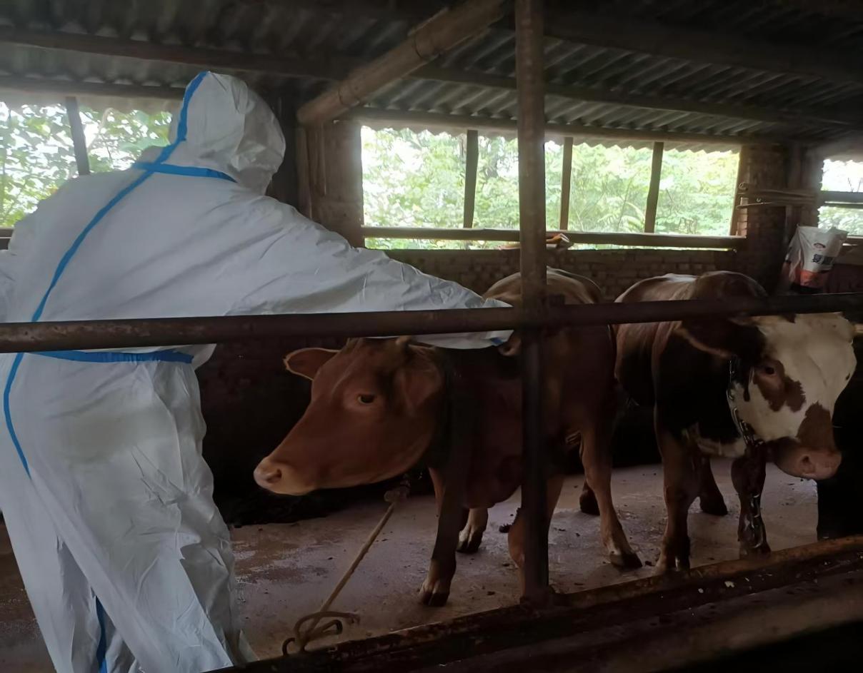 微信图片_20250926112909_8_325