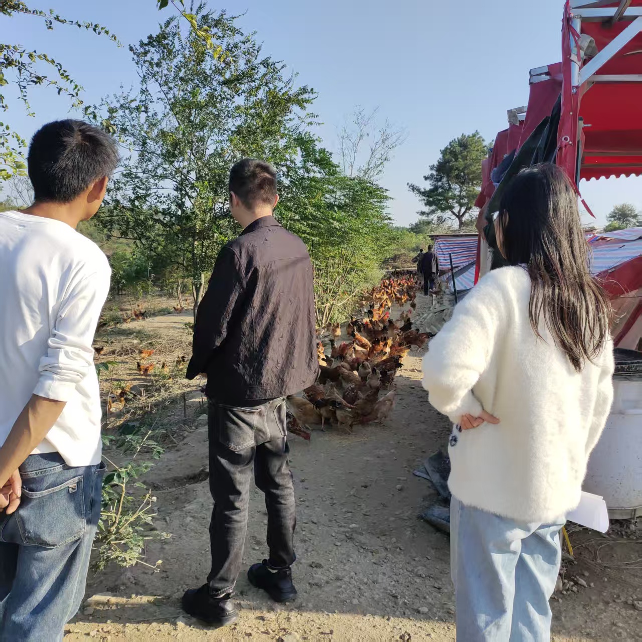 61155c4001f5592b88e364665c841bf8