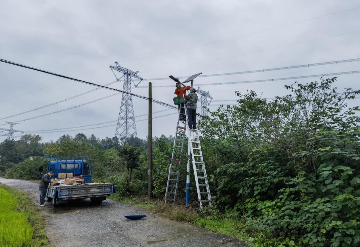 51e41648414b213b6d1f7e0b31863553