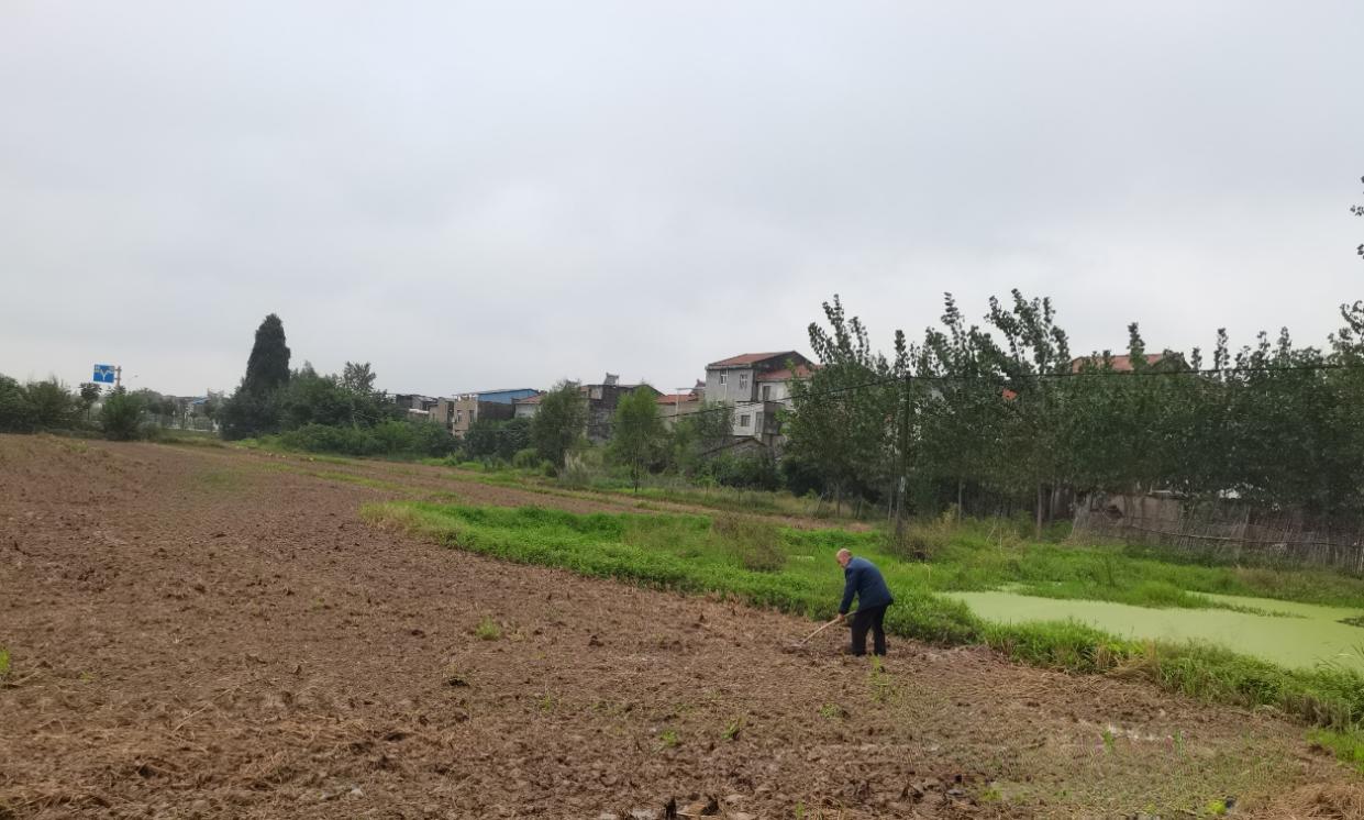 a5f18d1f5e9d21b72b8f03fb97ce5772