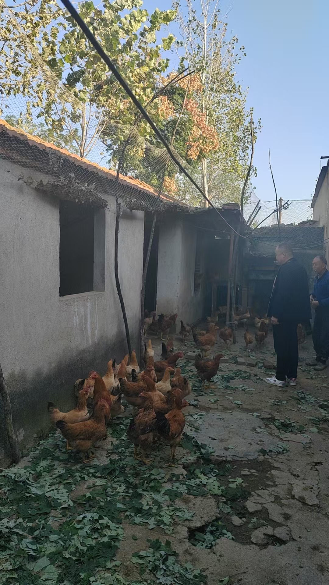 6128ffd0412291dfb8aafea61f68a592