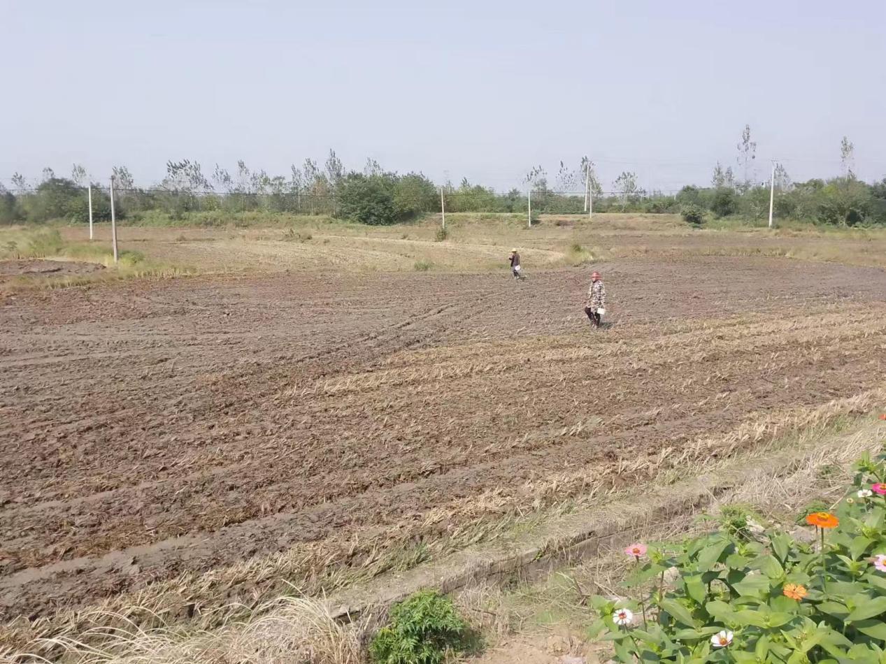 38c33186e8ed476538fdcdcf98620b94